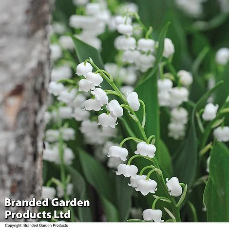 Summer Colour Bundle - Image 7