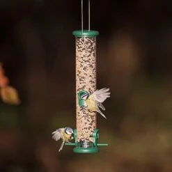 Jacobi Jayne Ring Pull Seed Medium Feeder 4 Port