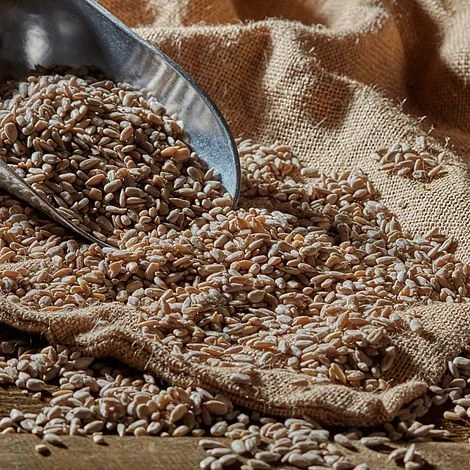 Sunflower Hearts - Image 2