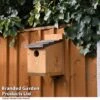 Classic Nest Box With Shingle Roof