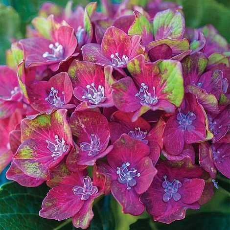 Perfect Patio Collection - Image 3