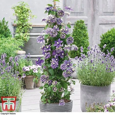 Perfect Patio Collection - Image 4