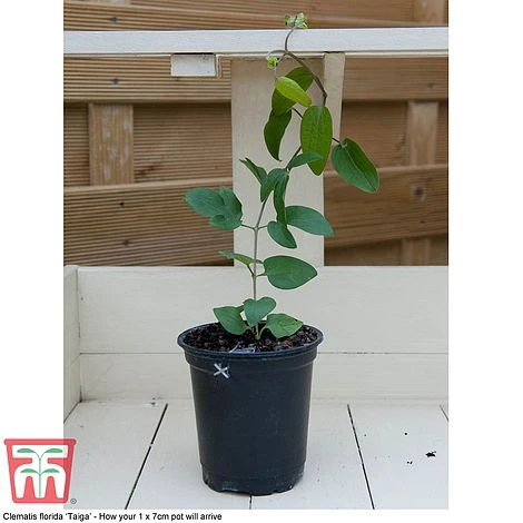 Perfect Patio Collection - Image 7