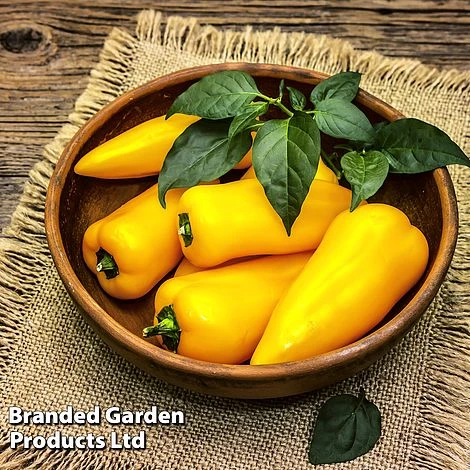 Pepper And Chilli Collection - Image 3