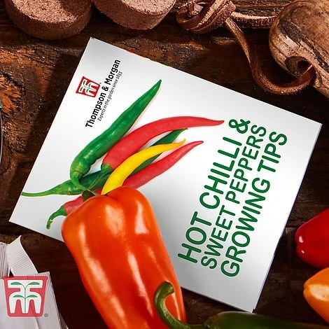 Red Hot Chilli & Sweet Peppers Growing Kit - Gift - Image 4