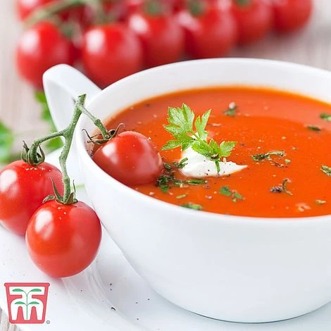 Tomato Trio Collection - Image 4
