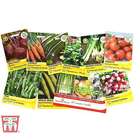 Grow Your Own Onion & Garlic Collection - Image 2