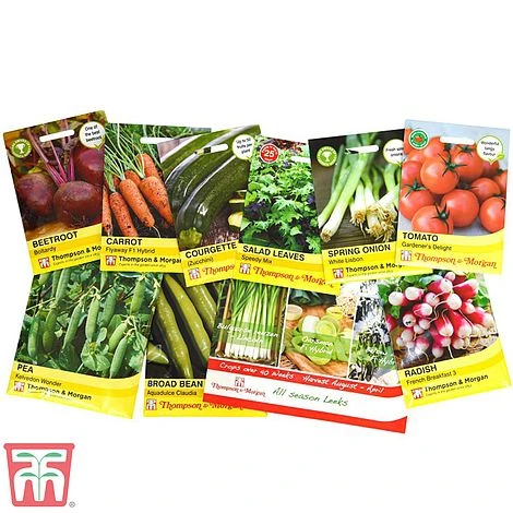 Onion, Shallot & Garlic Saver Pack - Image 2