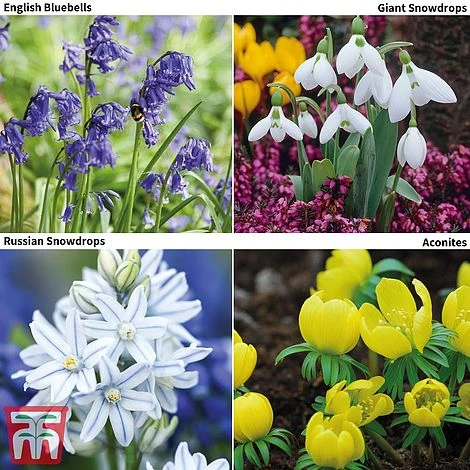 Woodland Garden Saver Collection